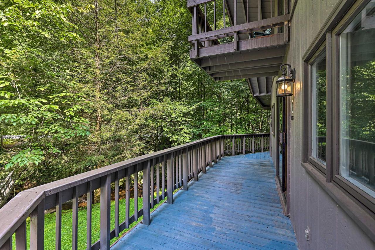 Roan Mountain Creekside Cabin Hike And Fish! エクステリア 写真