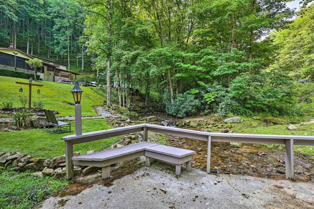 Roan Mountain Creekside Cabin Hike And Fish! エクステリア 写真