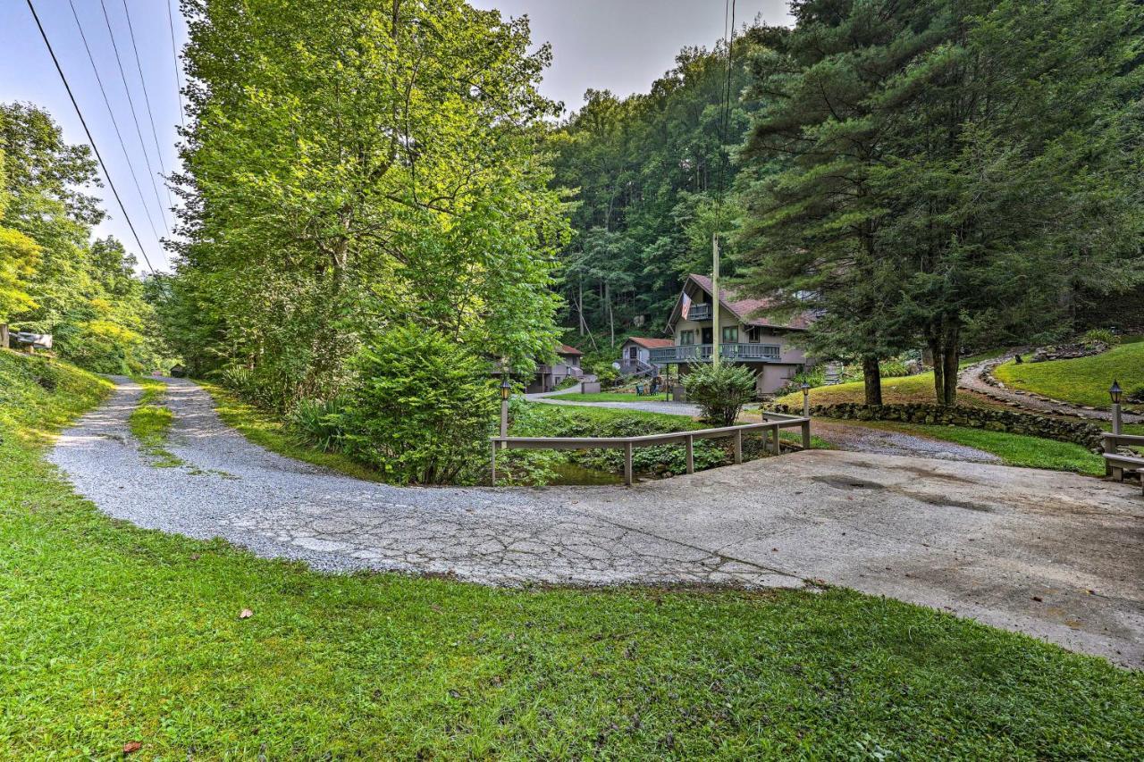 Roan Mountain Creekside Cabin Hike And Fish! エクステリア 写真