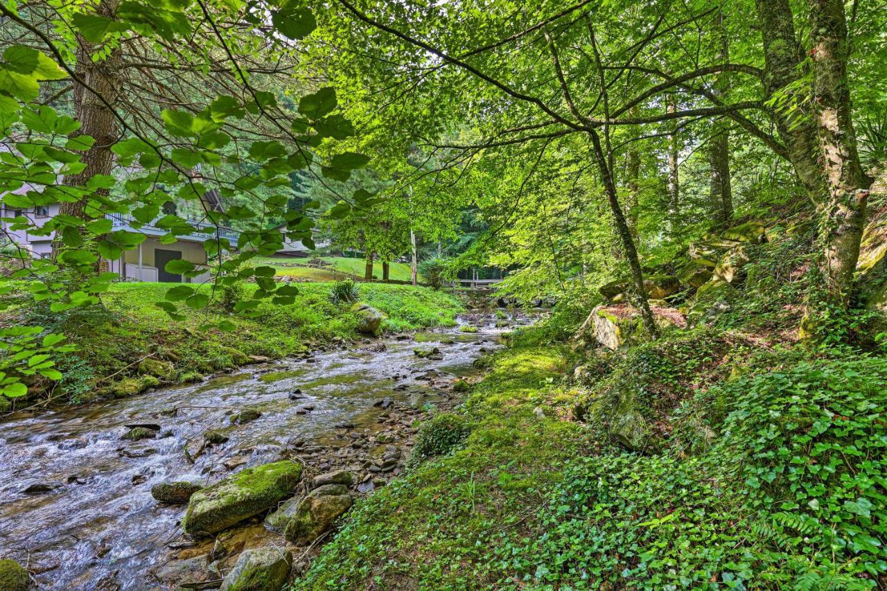 Roan Mountain Creekside Cabin Hike And Fish! エクステリア 写真
