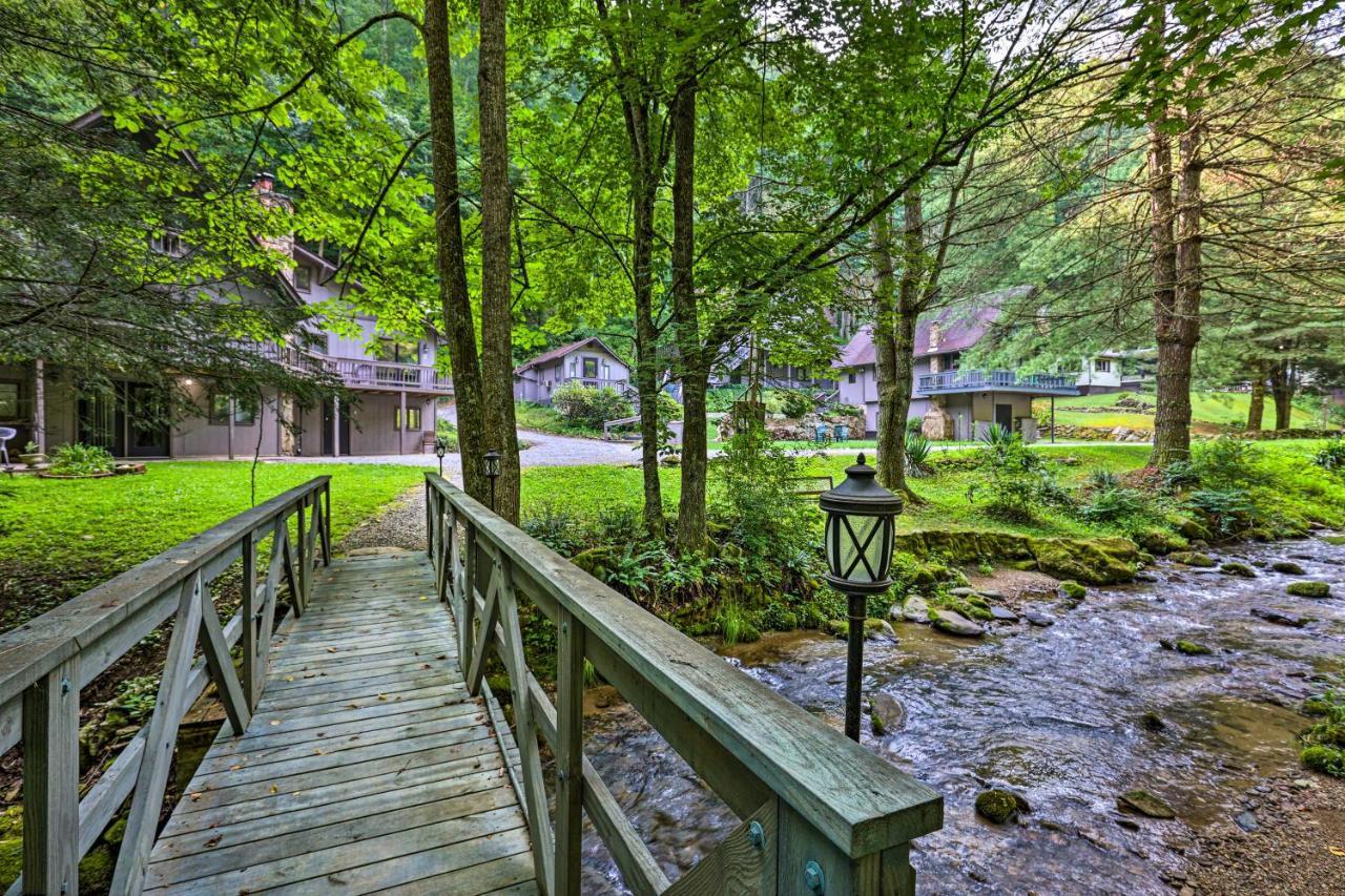 Roan Mountain Creekside Cabin Hike And Fish! エクステリア 写真