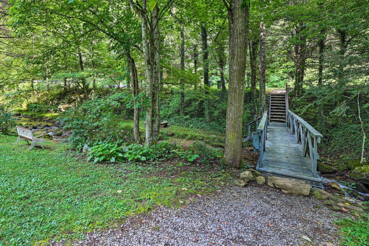 Roan Mountain Creekside Cabin Hike And Fish! エクステリア 写真